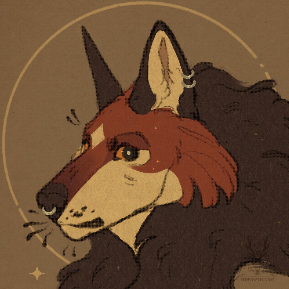 ✦☽ KAIDA ✷