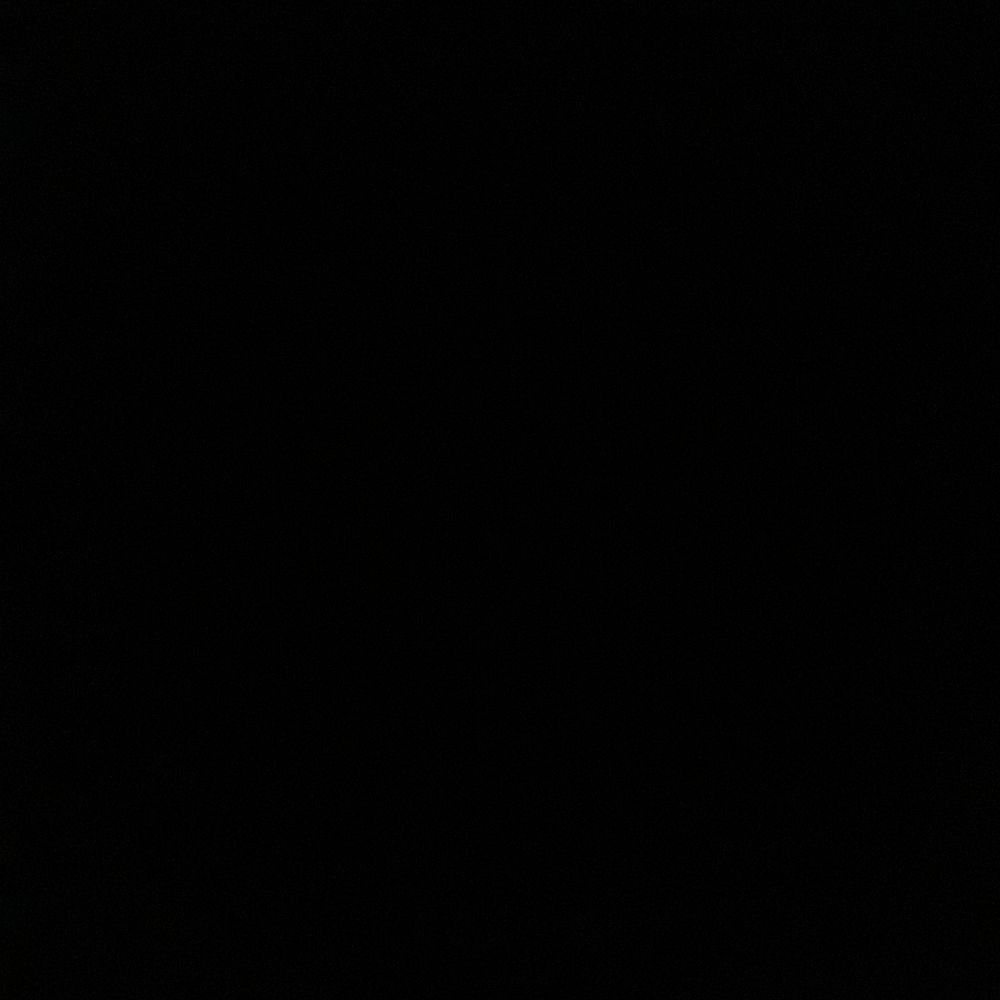 ᴄʜᴀᴍᴘ