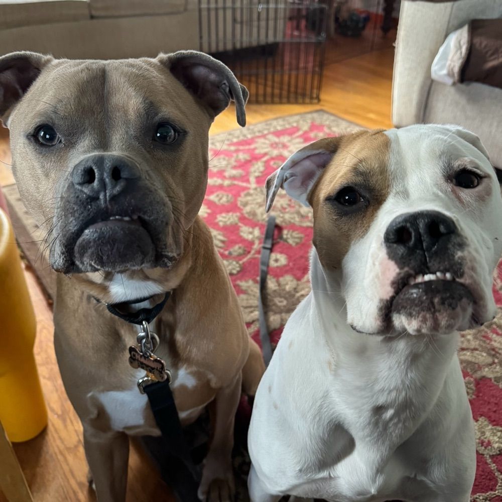 Charlie and Frankie