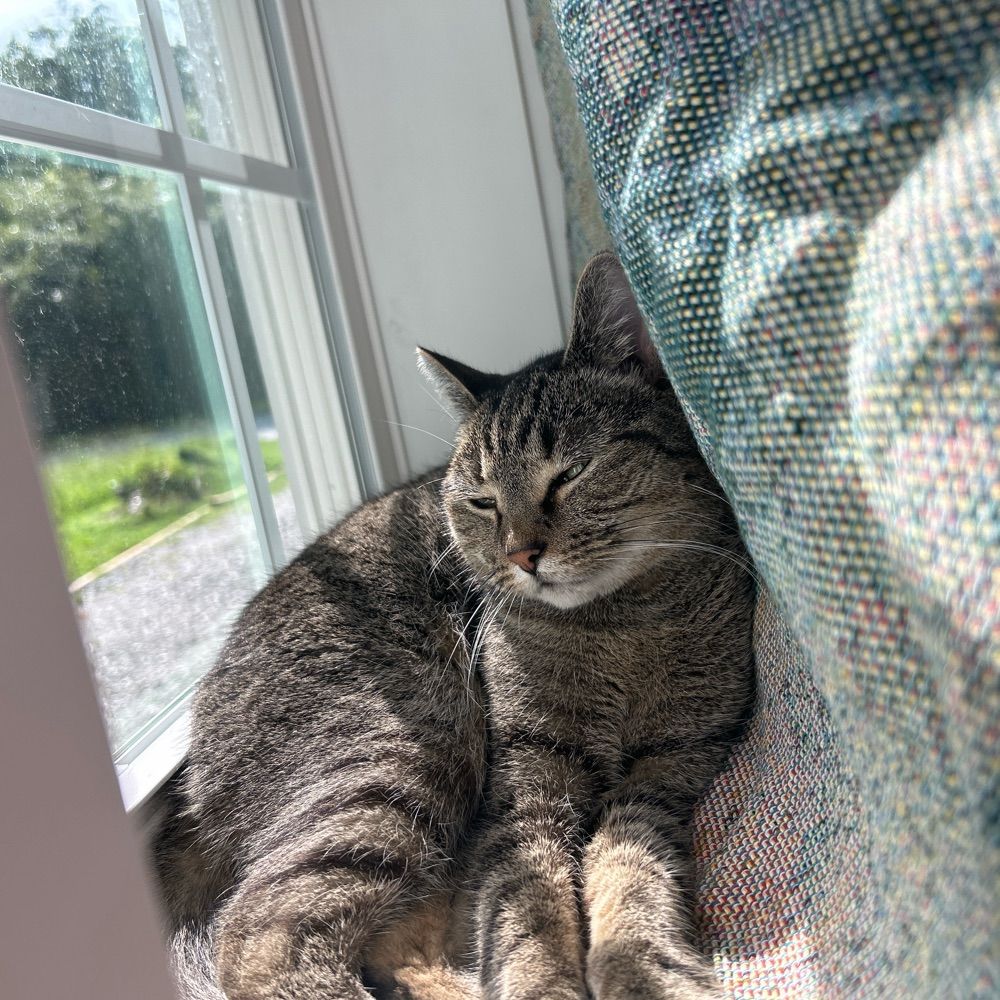 GrumpyExceed