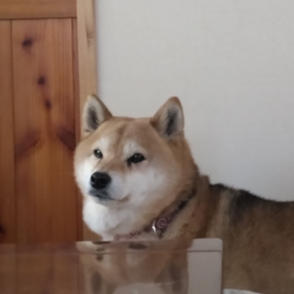 たらすけ