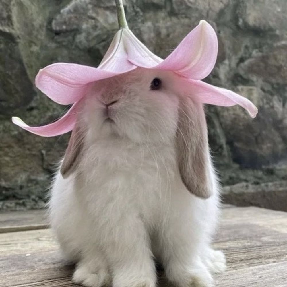 yuki