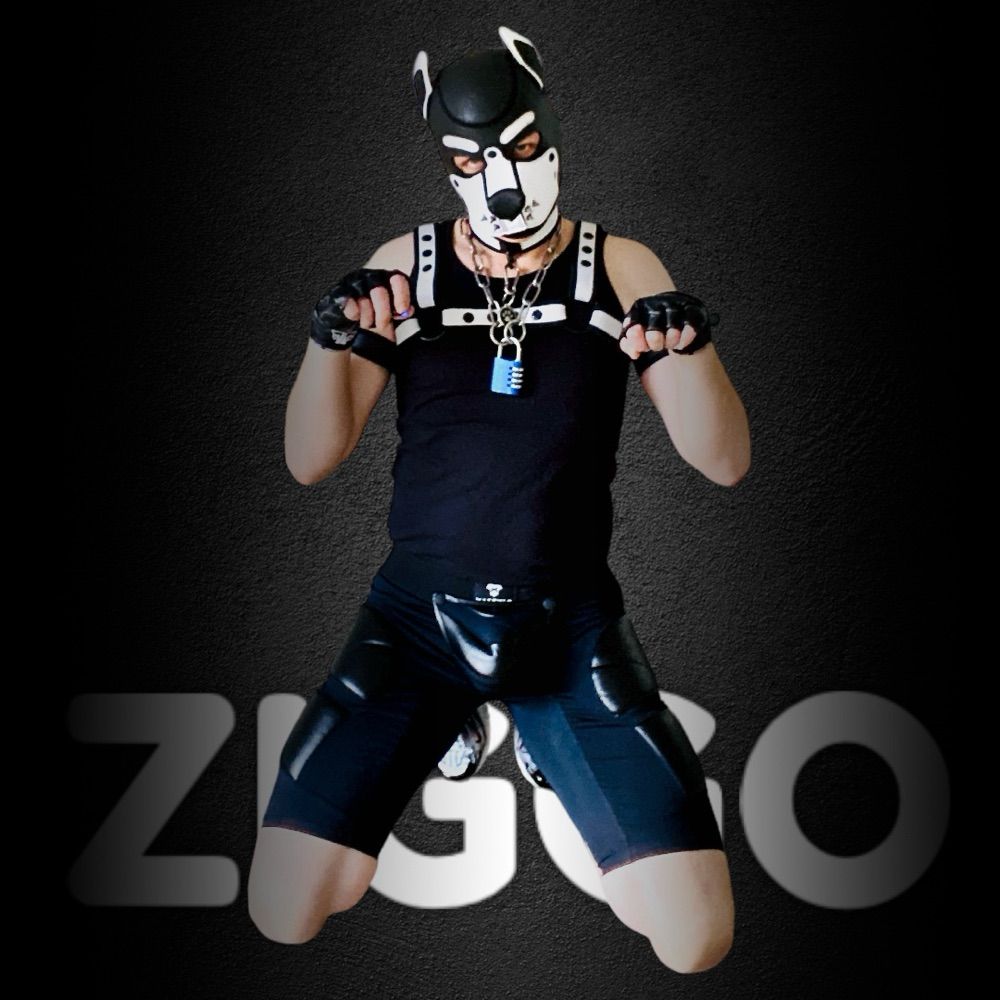 its.ziggo.flens