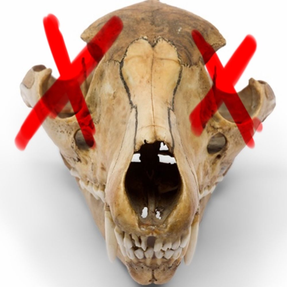 Thylarox