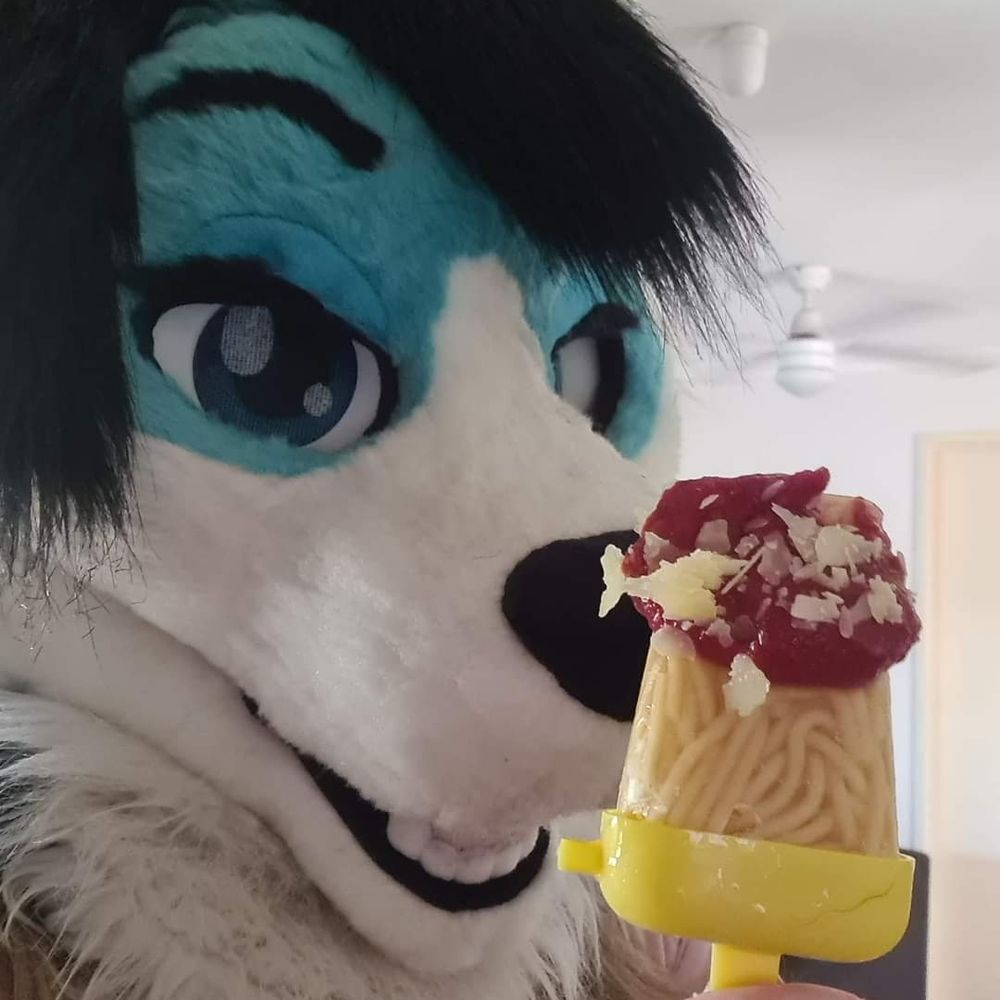 BluTooth Husky