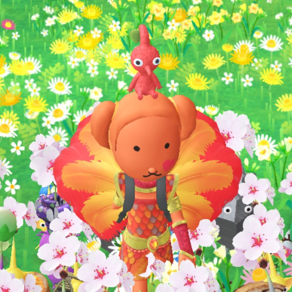 시시