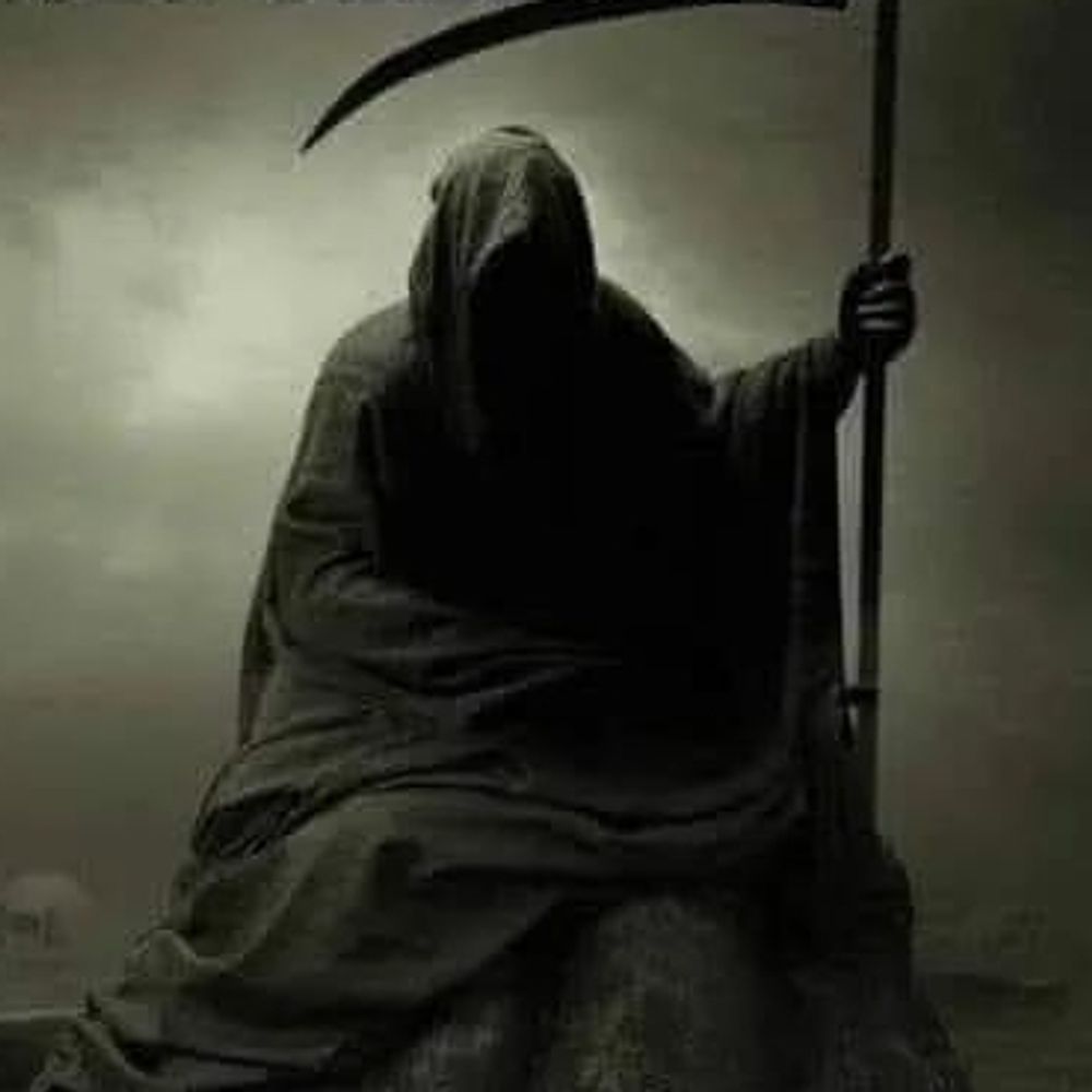 paranoia123.bsky.social profile picture
