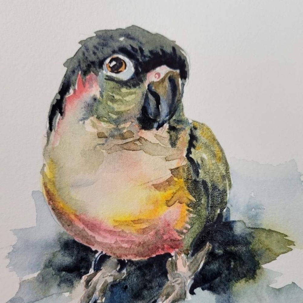 AvianLass