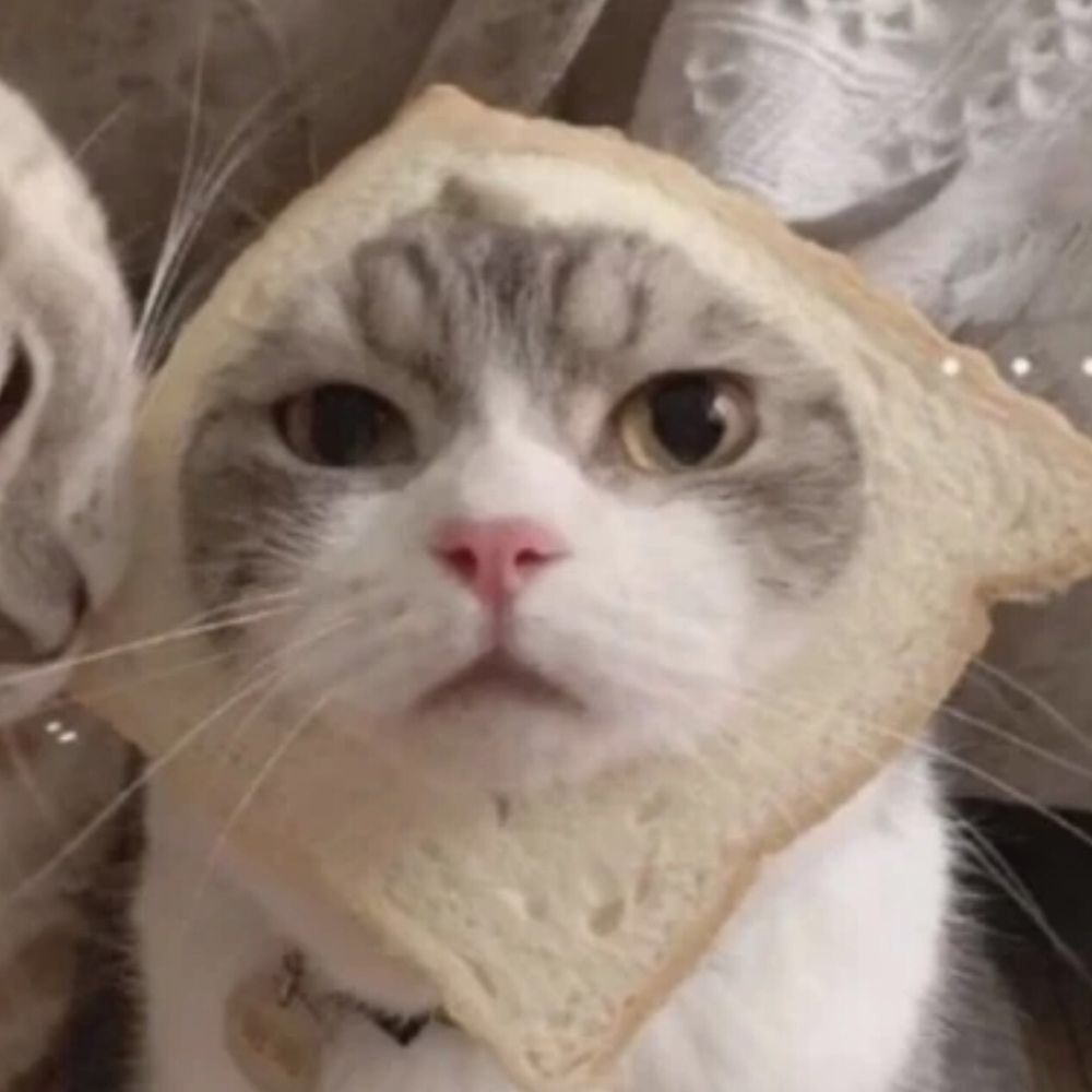 breadrush.bsky.social profile picture