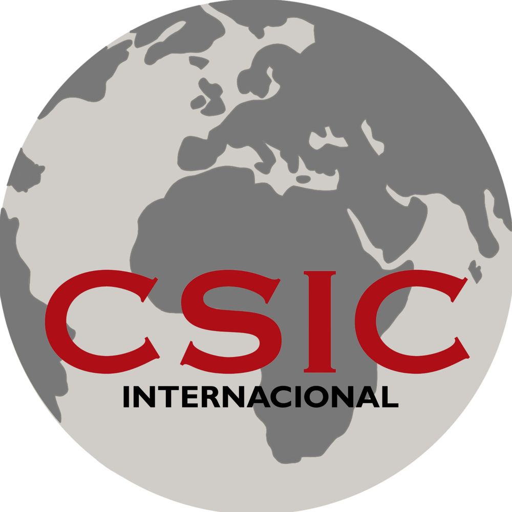 CSIC Internacional