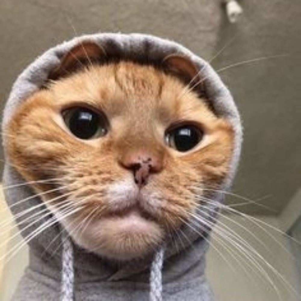 Laranja_pelada