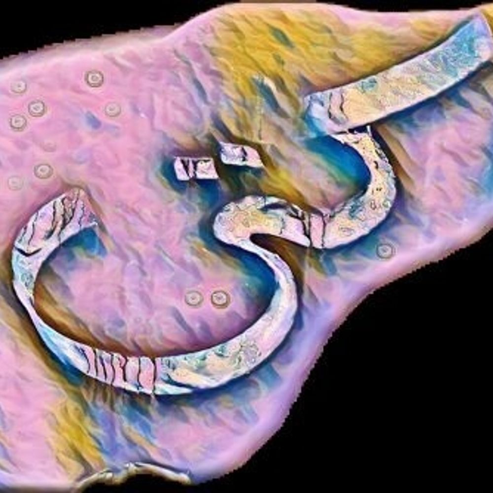 zoola
