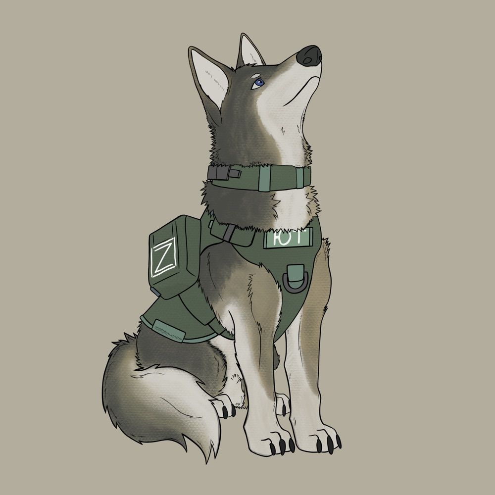 Yute Wolf