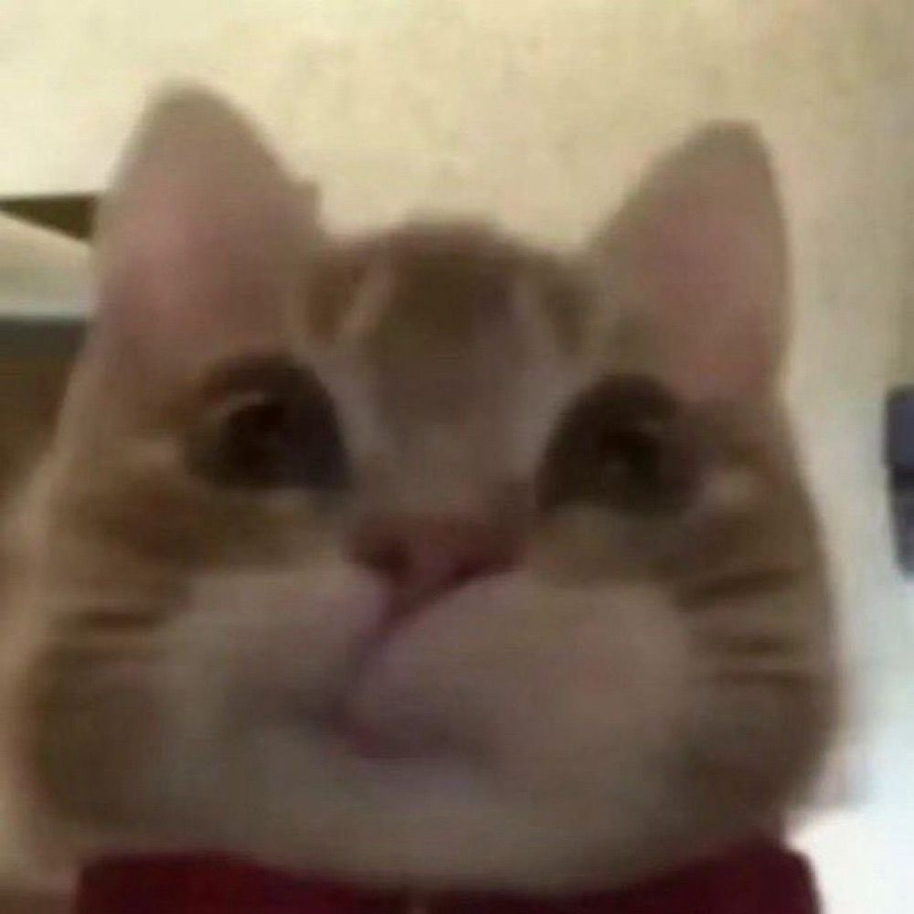lu