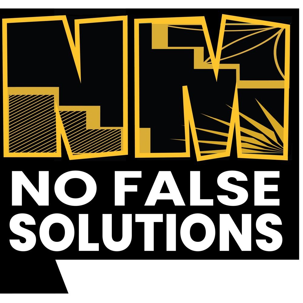New Mexico No False Solutions