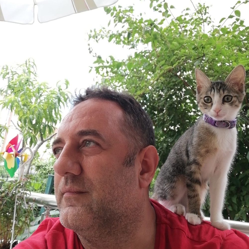 tarık ś