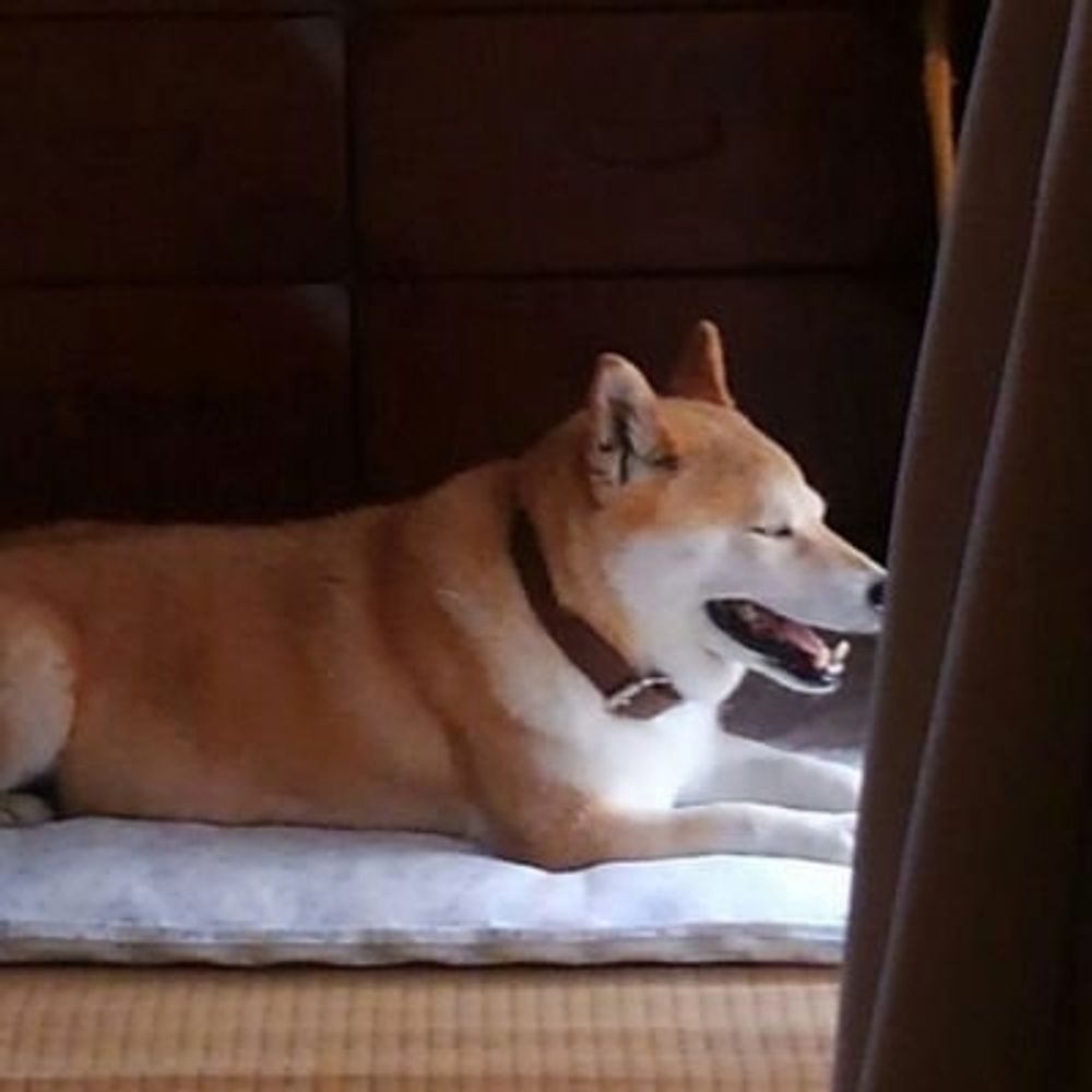 三樫わたる
