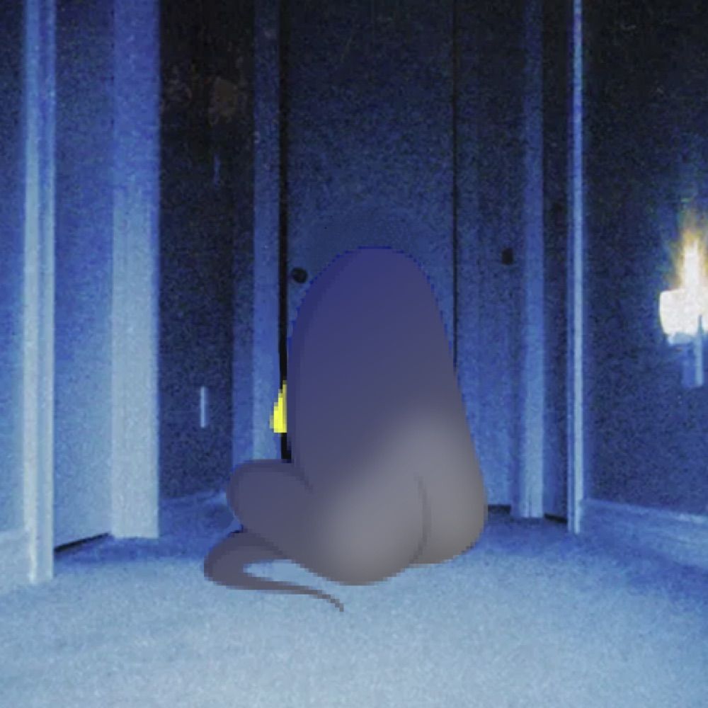 Jmaytheectovoid