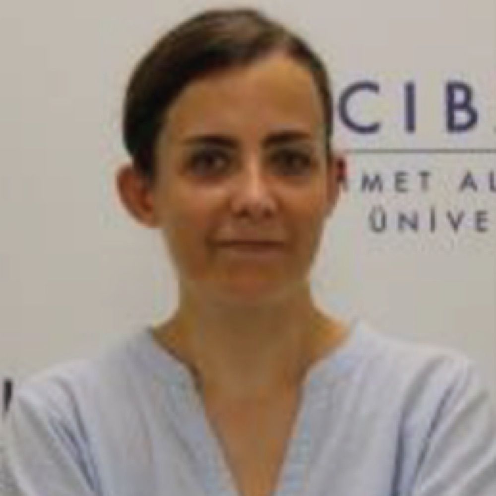 Emel Timucin