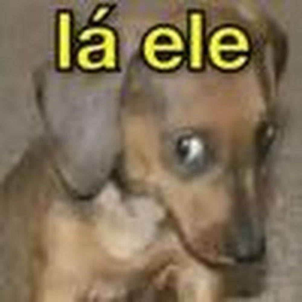 momentos laele