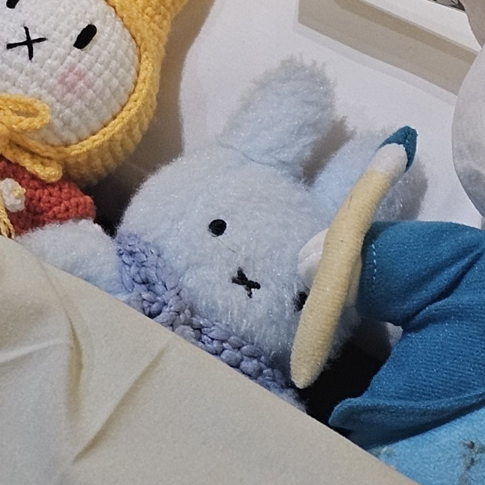 토끼조아하는사람