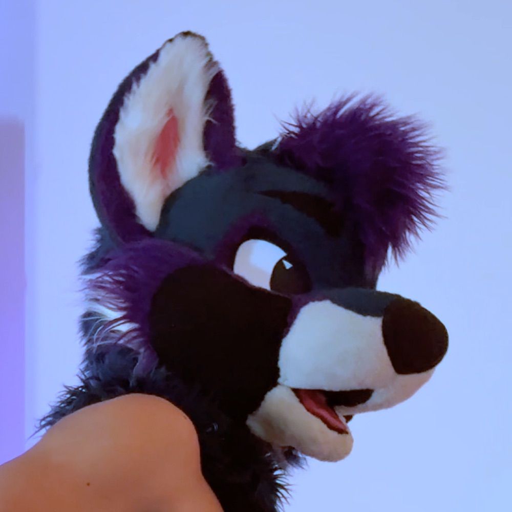 foxboy