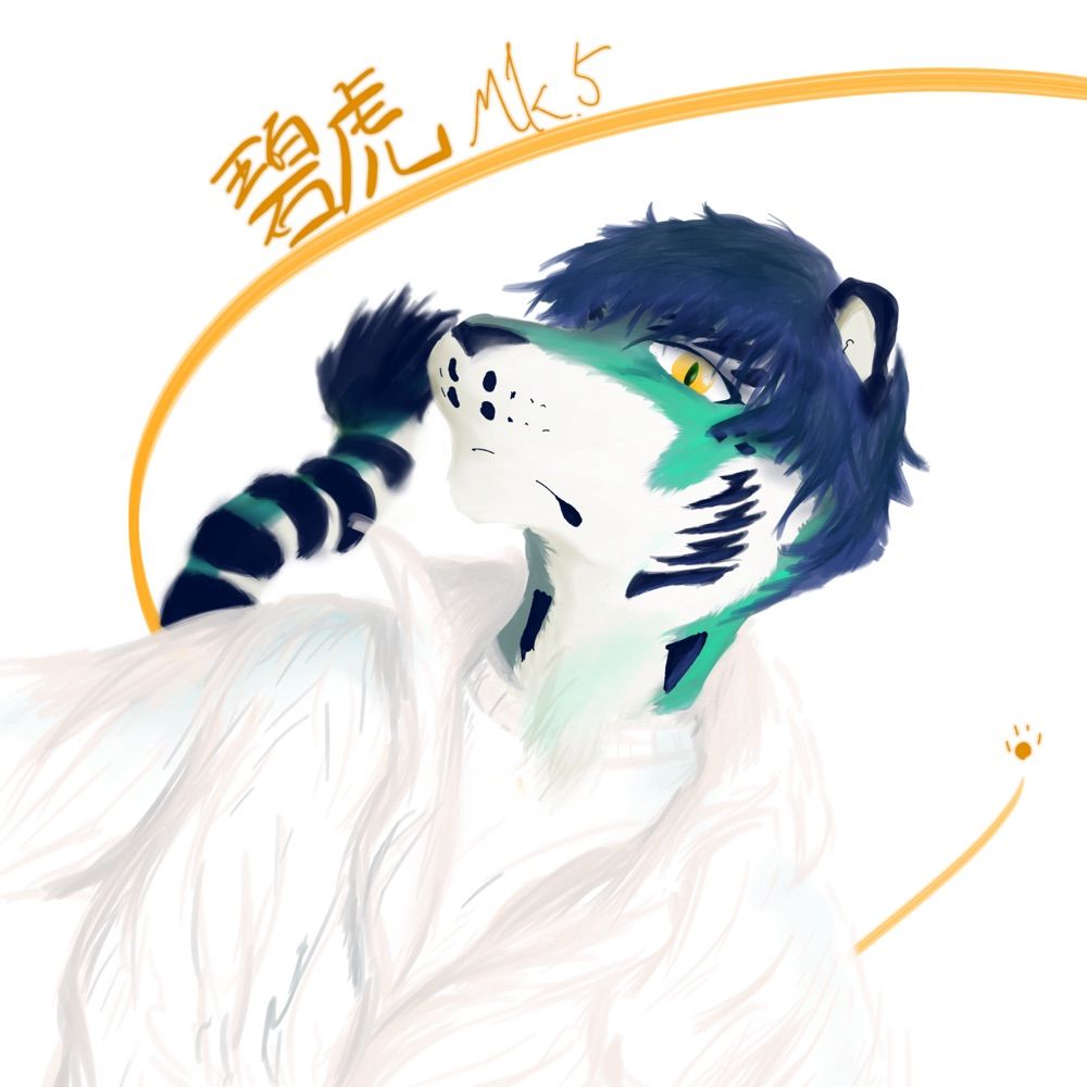 碧虎Mk.5