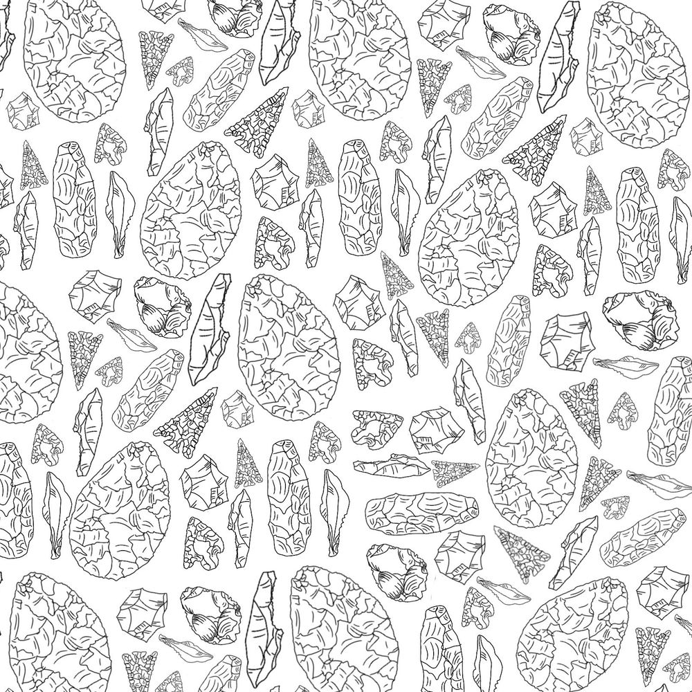 Lithic Studies Society