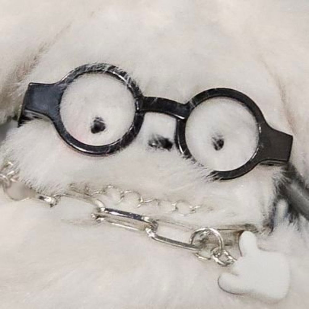 딴두