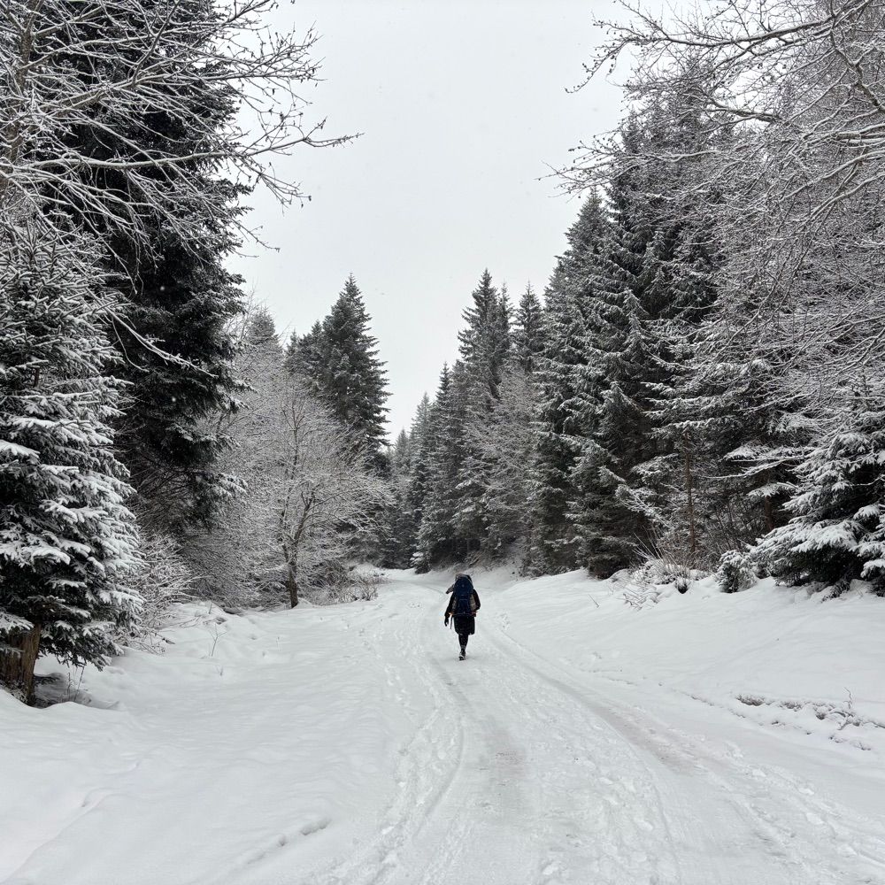 Londoner in der Schweiz
