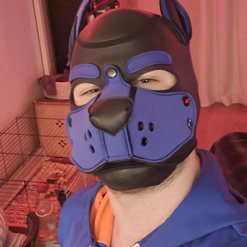 Pup_Splashy