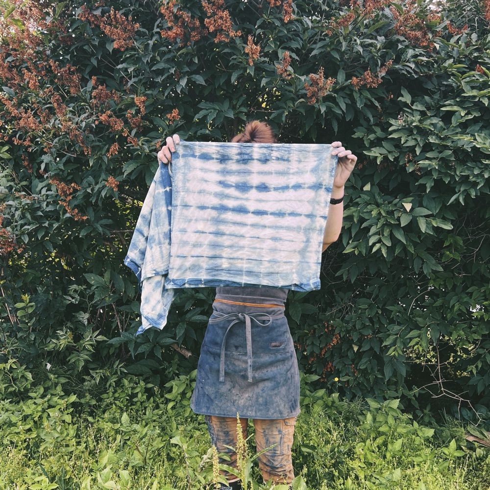 Lily | Forager & Co