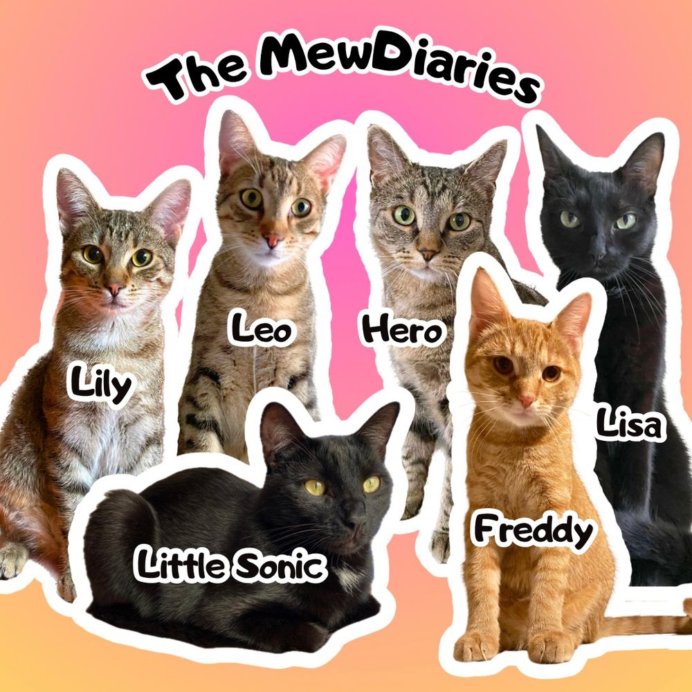 mewdiaries.bsky.social profile picture
