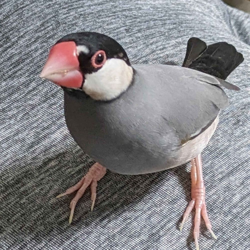 るい