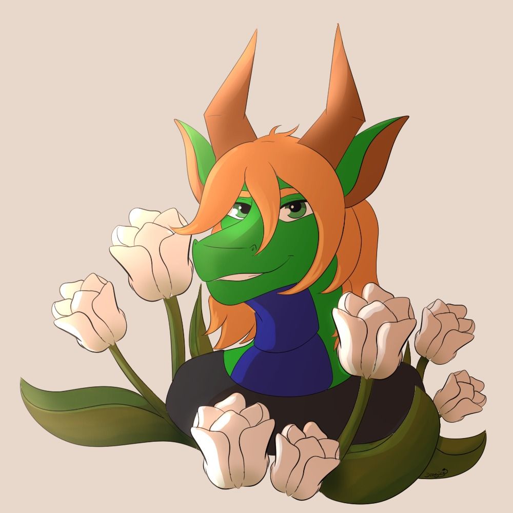 Krydas