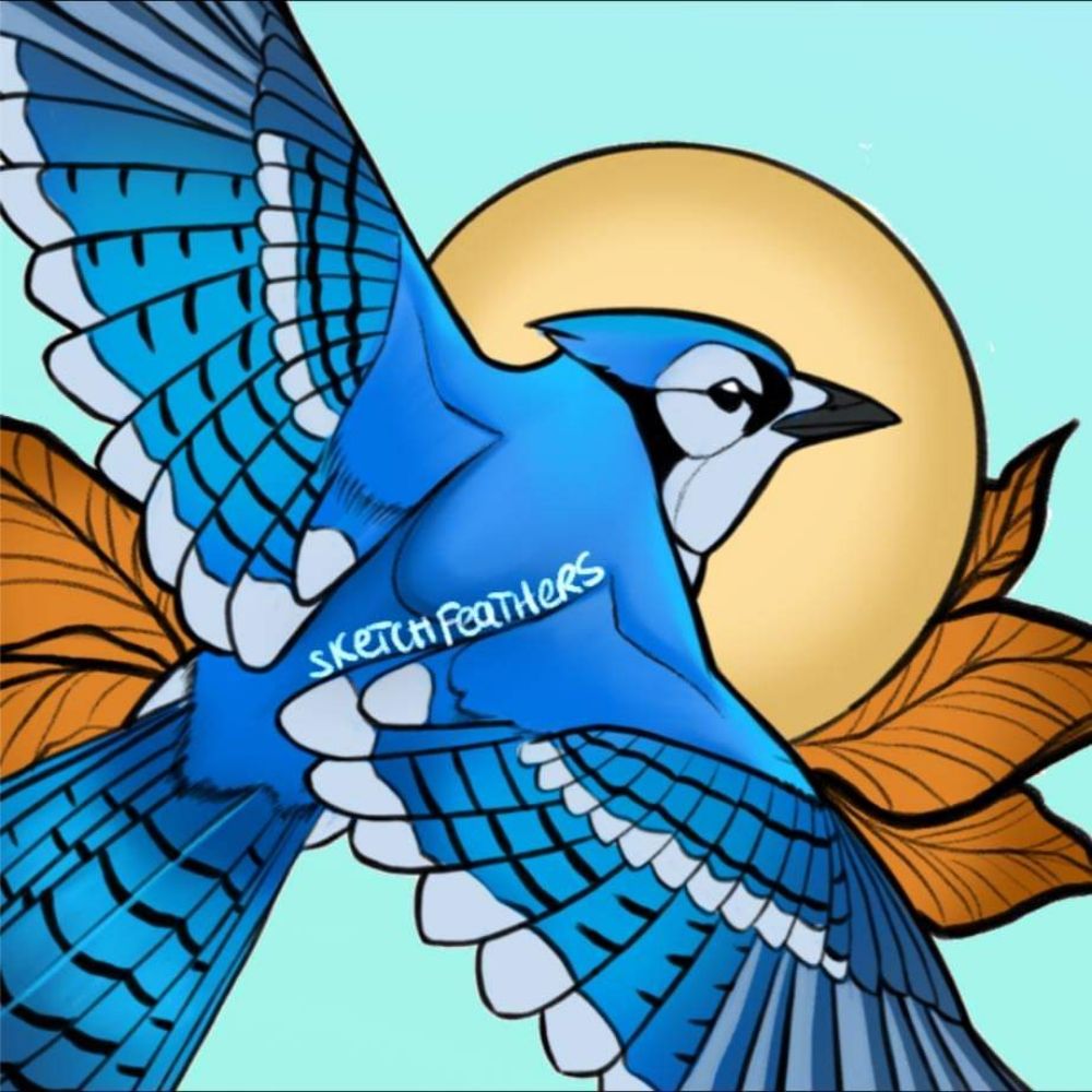 SKETCHFEATHERS ☆