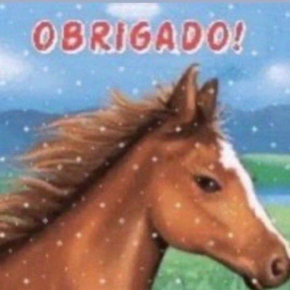 Roleplay furry interativo do lucas berti