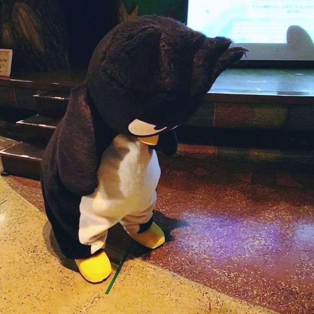 Certamente não é a Ana