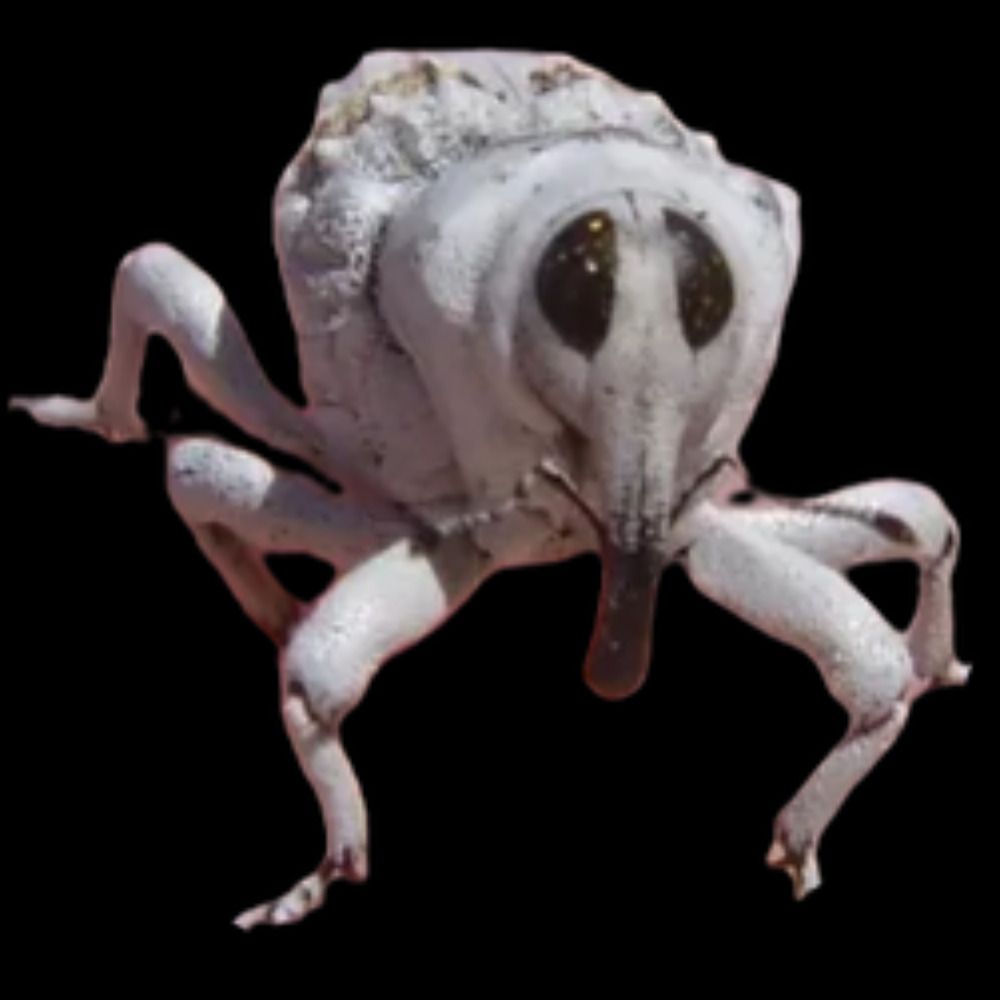 InvertebratePosting