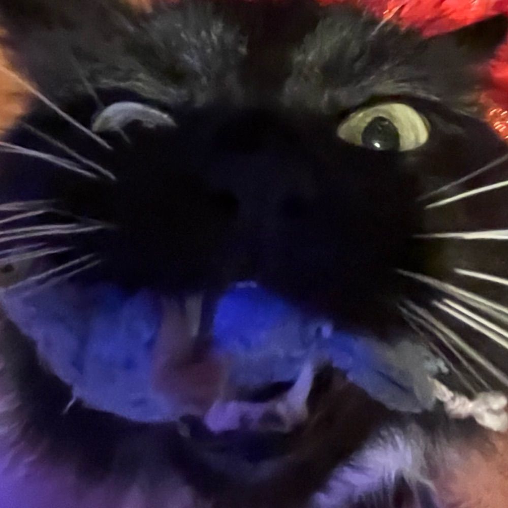 Katzu