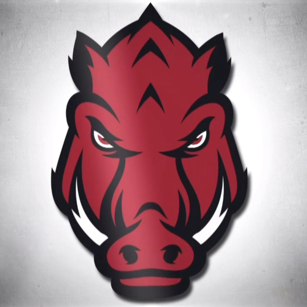 Arkansas Razorbacks