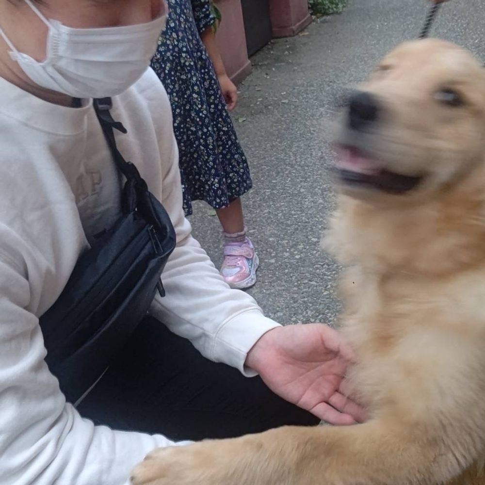 ろたた