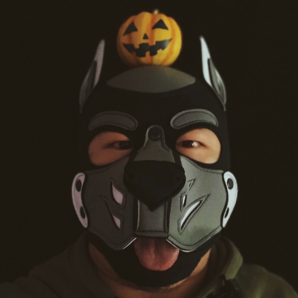 TataKuma