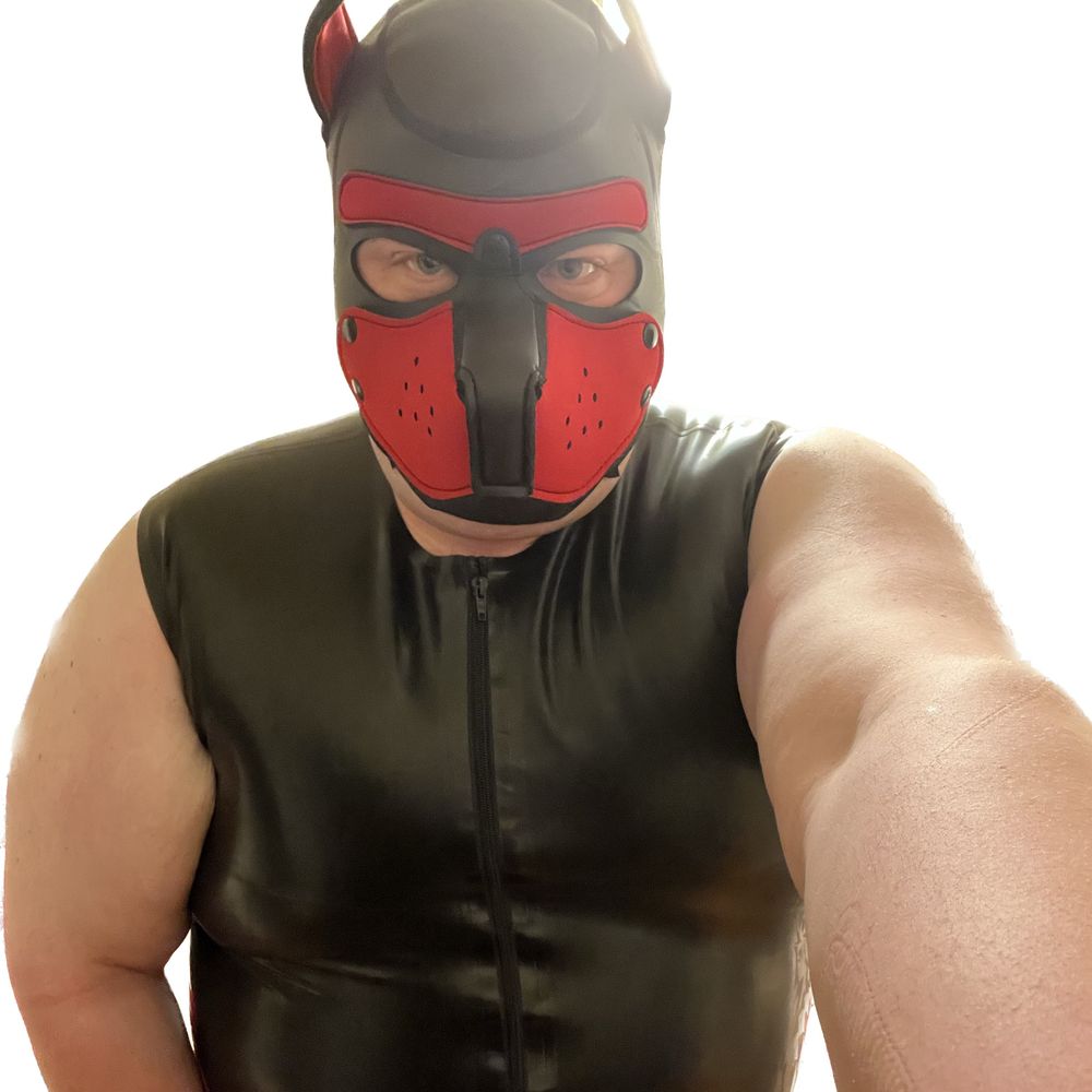 Pup Pocus