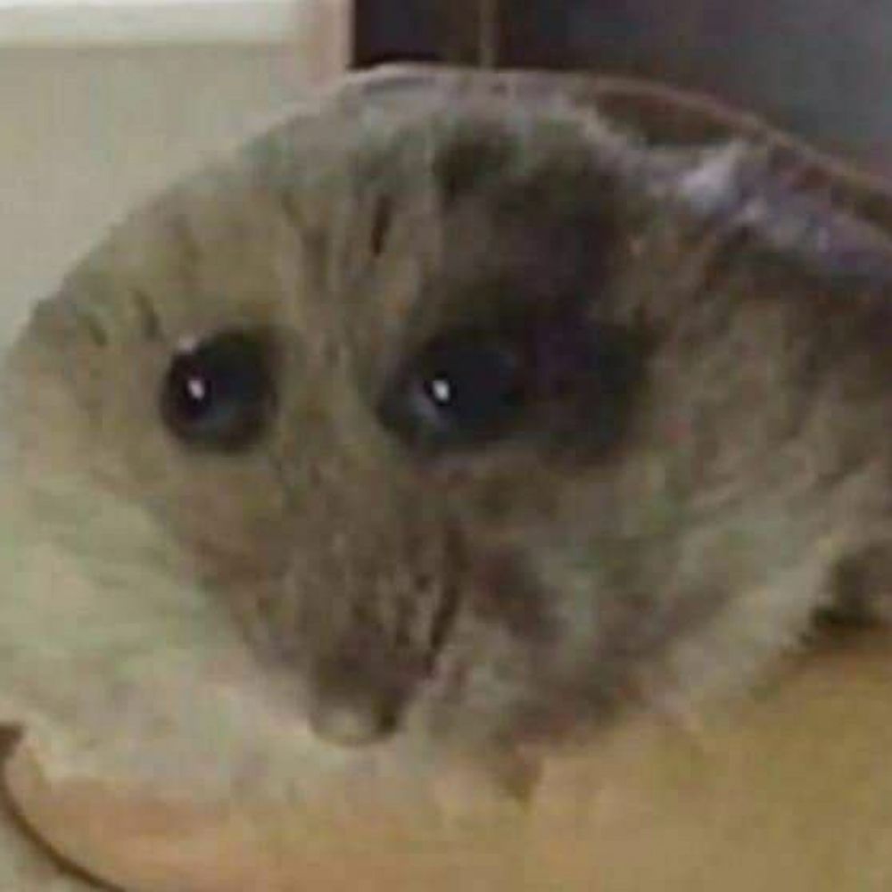_Bluki_🐁