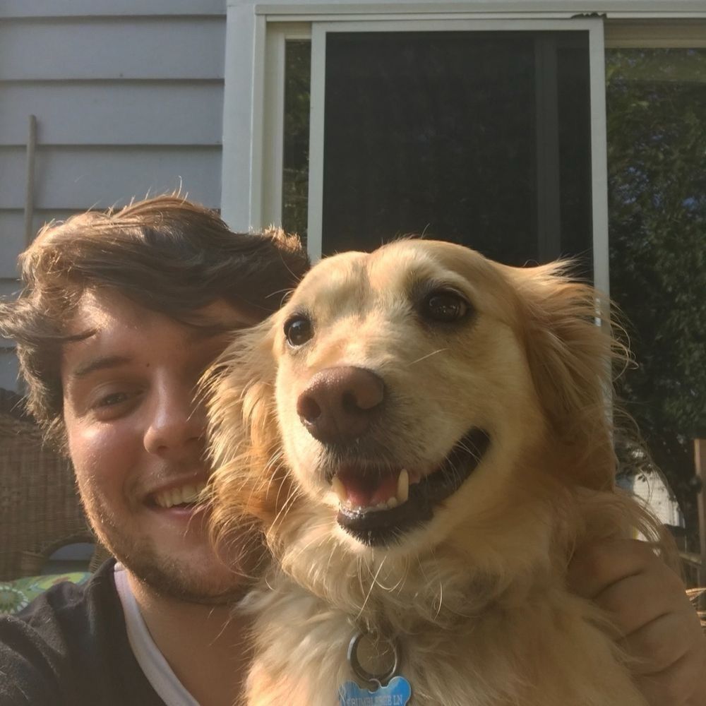 fumblebee.bsky.social profile picture