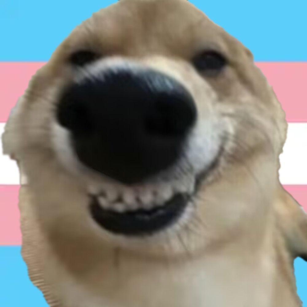 甜甜怜怜子🍥