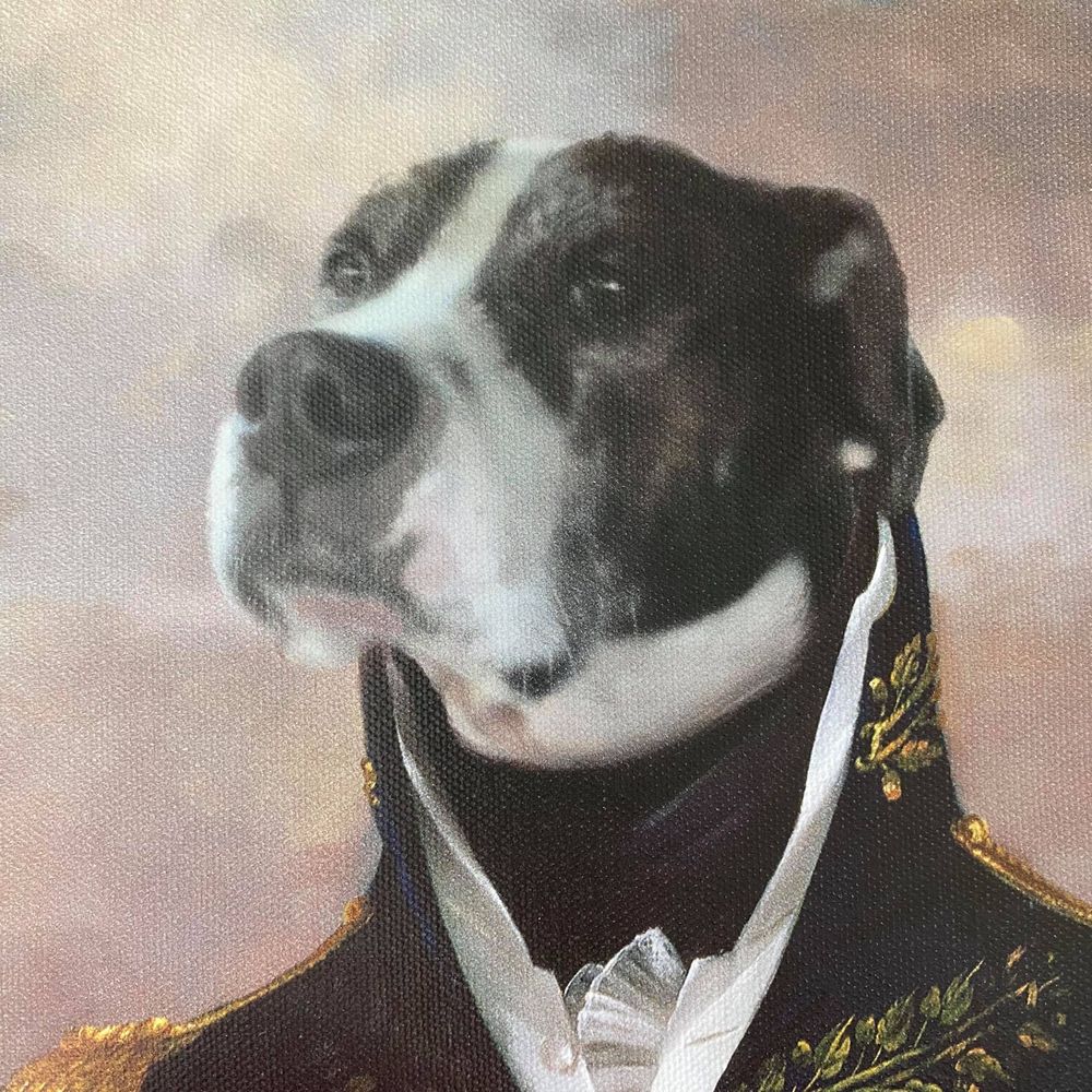 Admiral Pippin