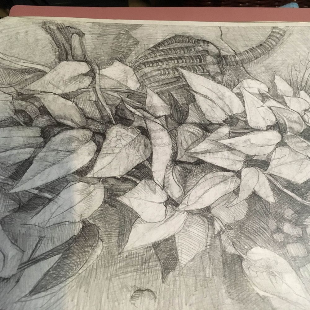 楽描庫