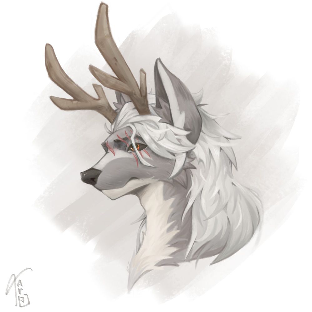 Arlo the Wolf